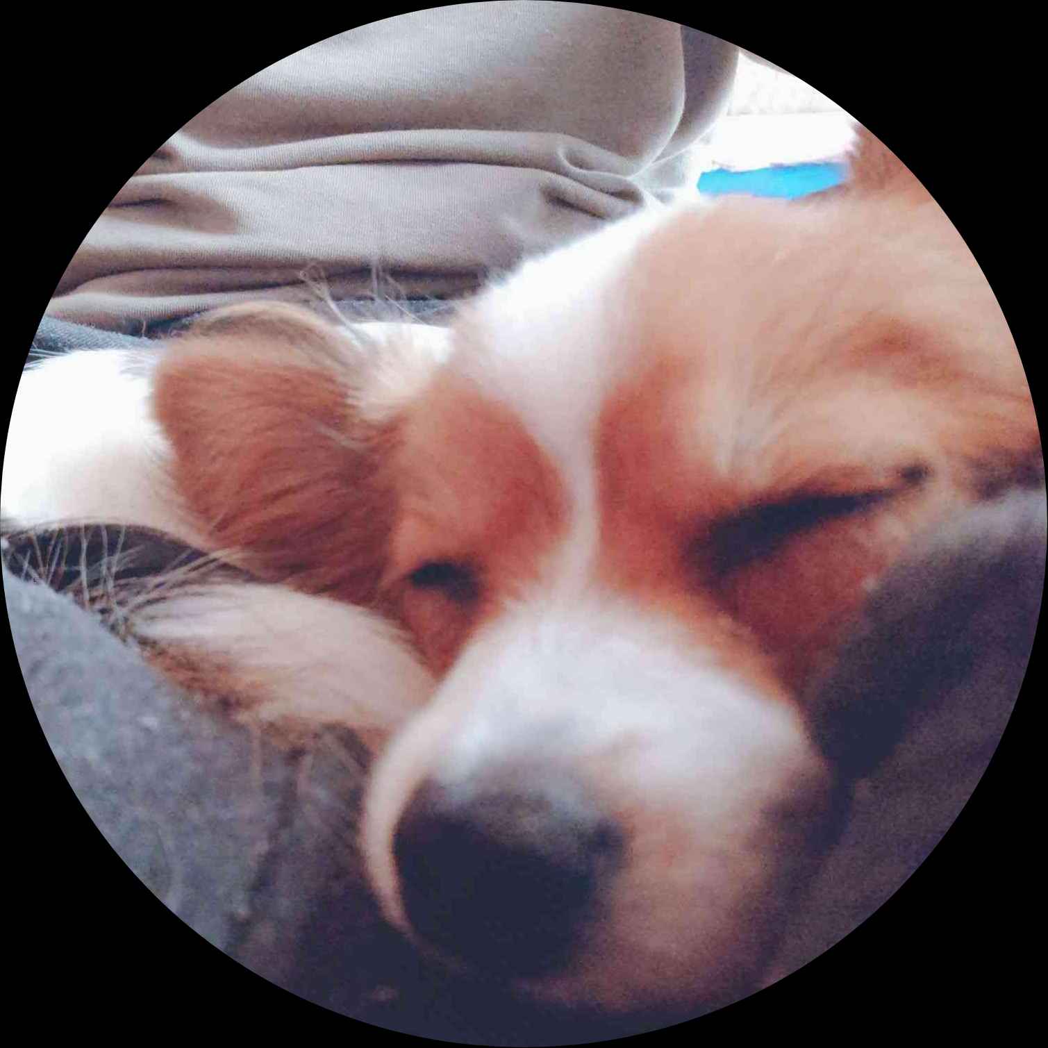 めぐ*