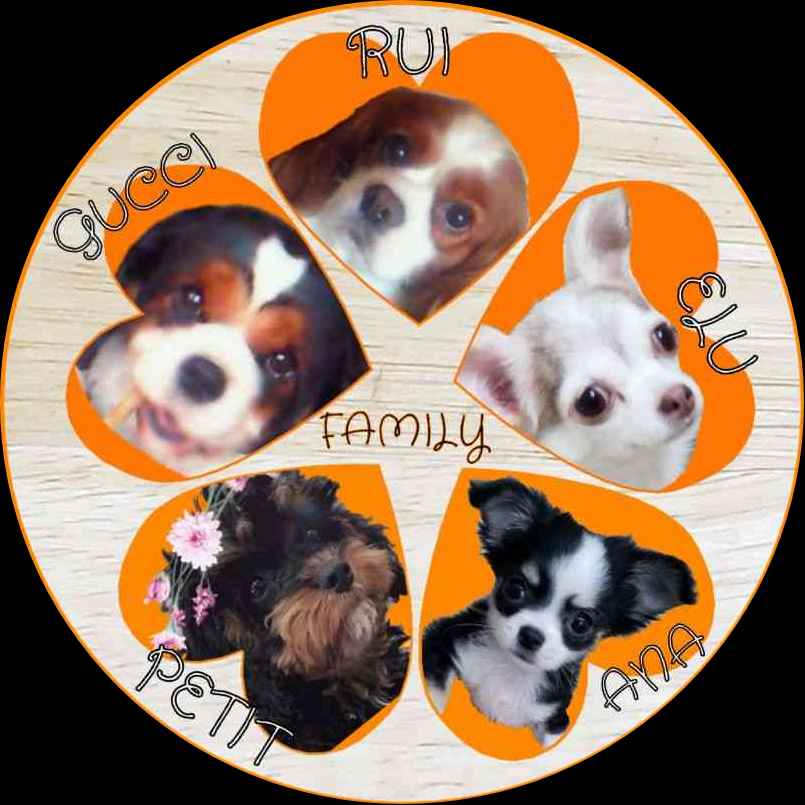 背中にも追加でプリントできますか