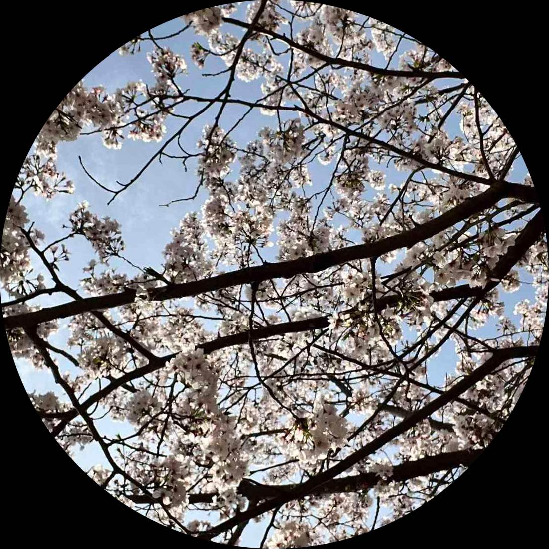 いま*****