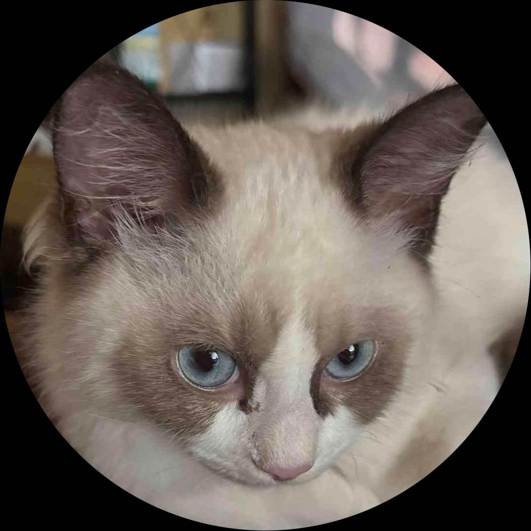 この商品は、ポイントで買えますか？