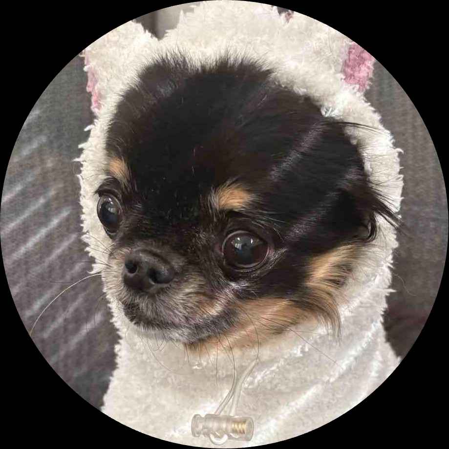 新作体験で0円と書いていますがカートにいれると0円になりません。