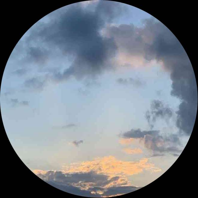 。***********