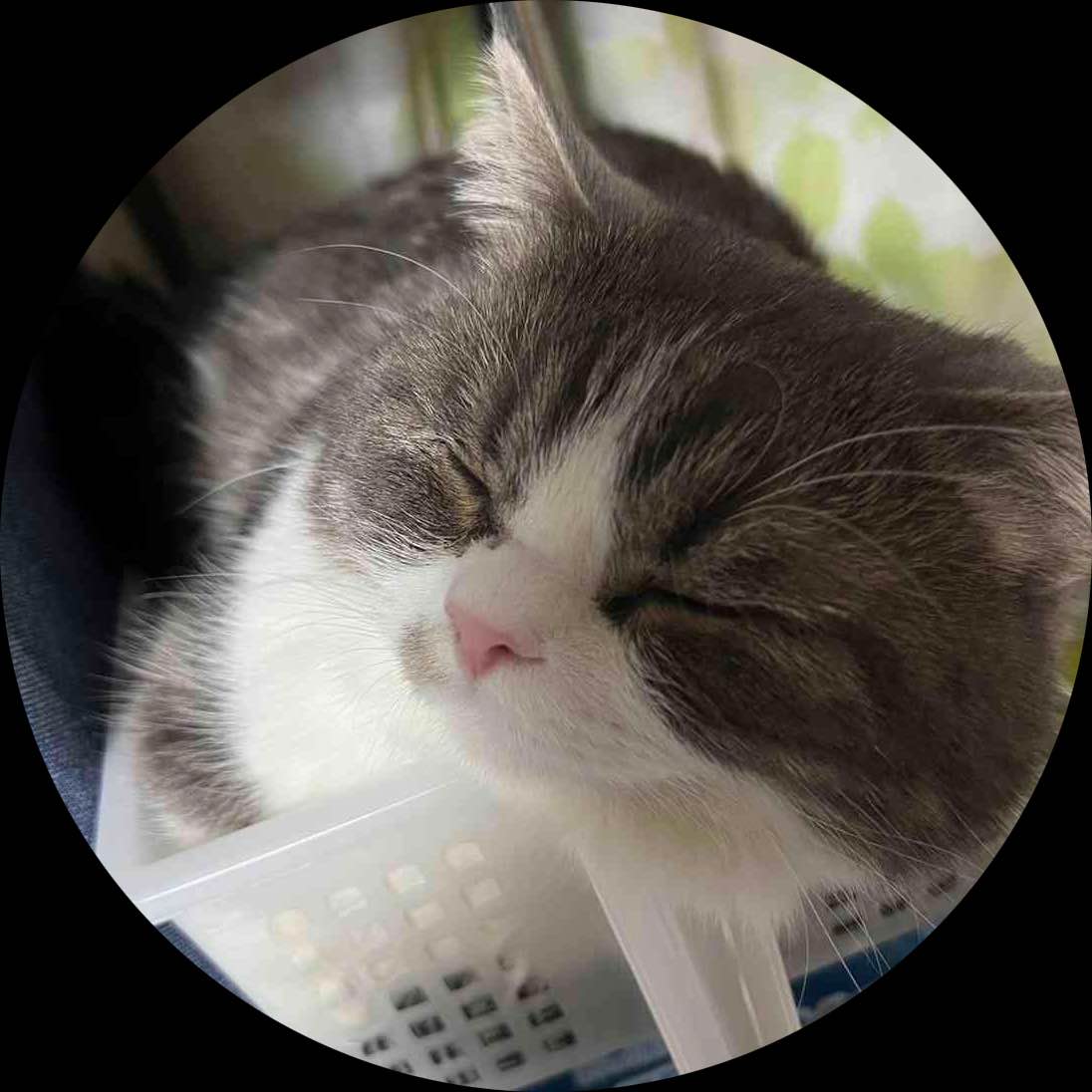 きな**
