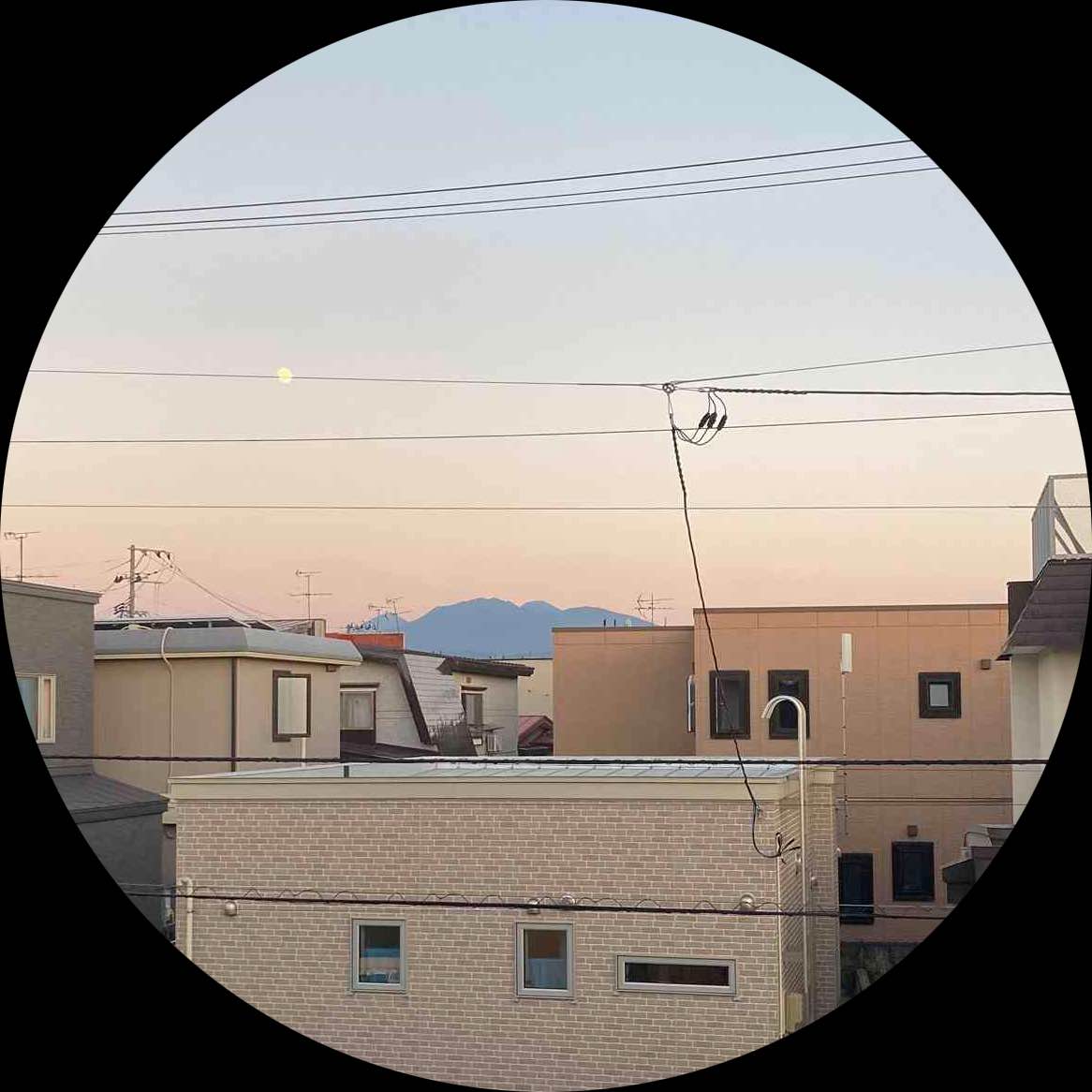 こは*