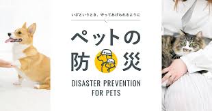 ペットと一緒に災害を乗り越える!防災準備ガイド決定版