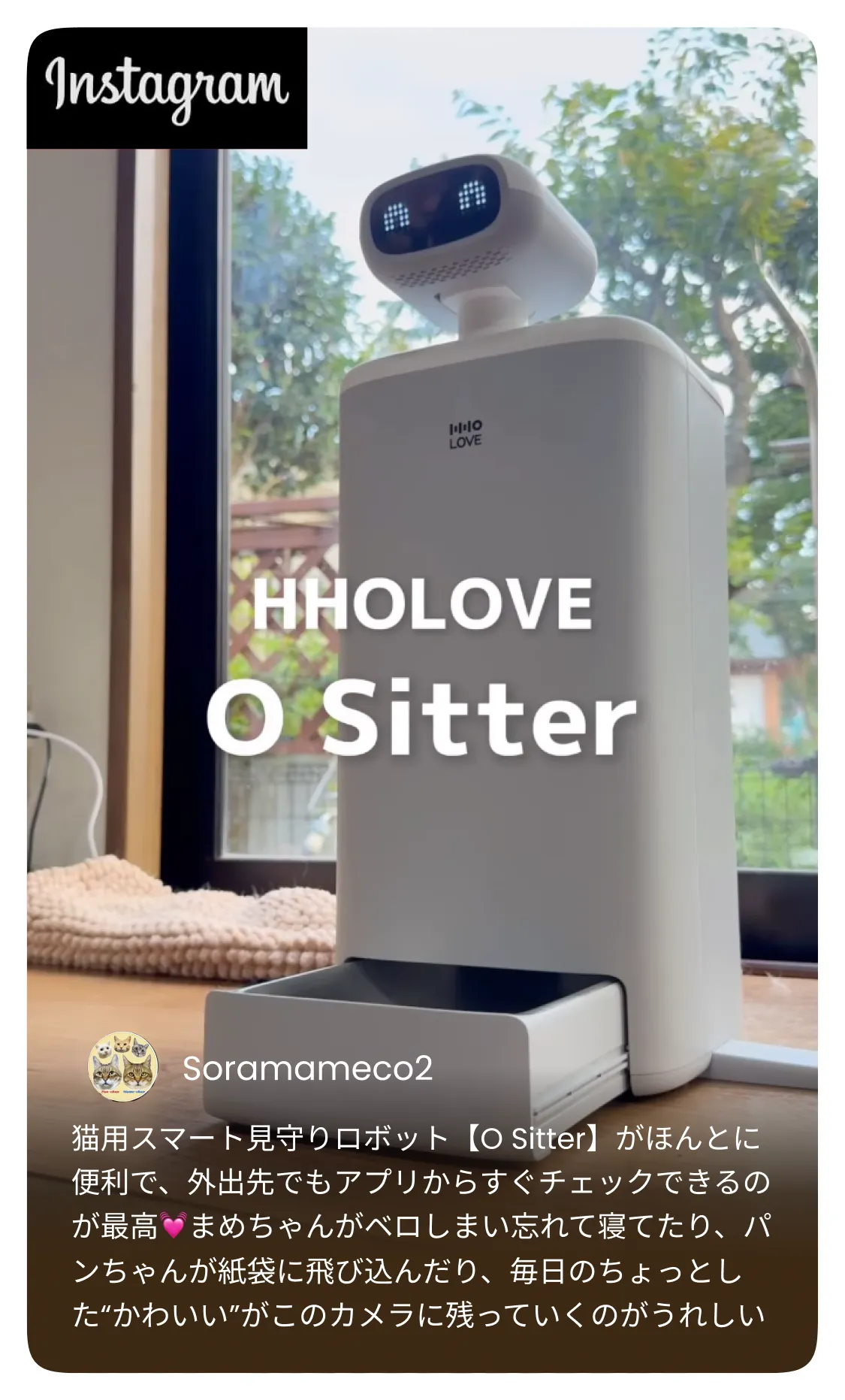 HHOLOVE公式｜自動猫トイレ・カメラ付き給餌器・AIペット家電通販 