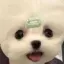 7sGood