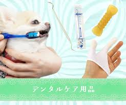 ペットの口臭・歯周病予防に！デンタルケアグッズ特集