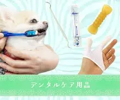 デンタルケアグッズ