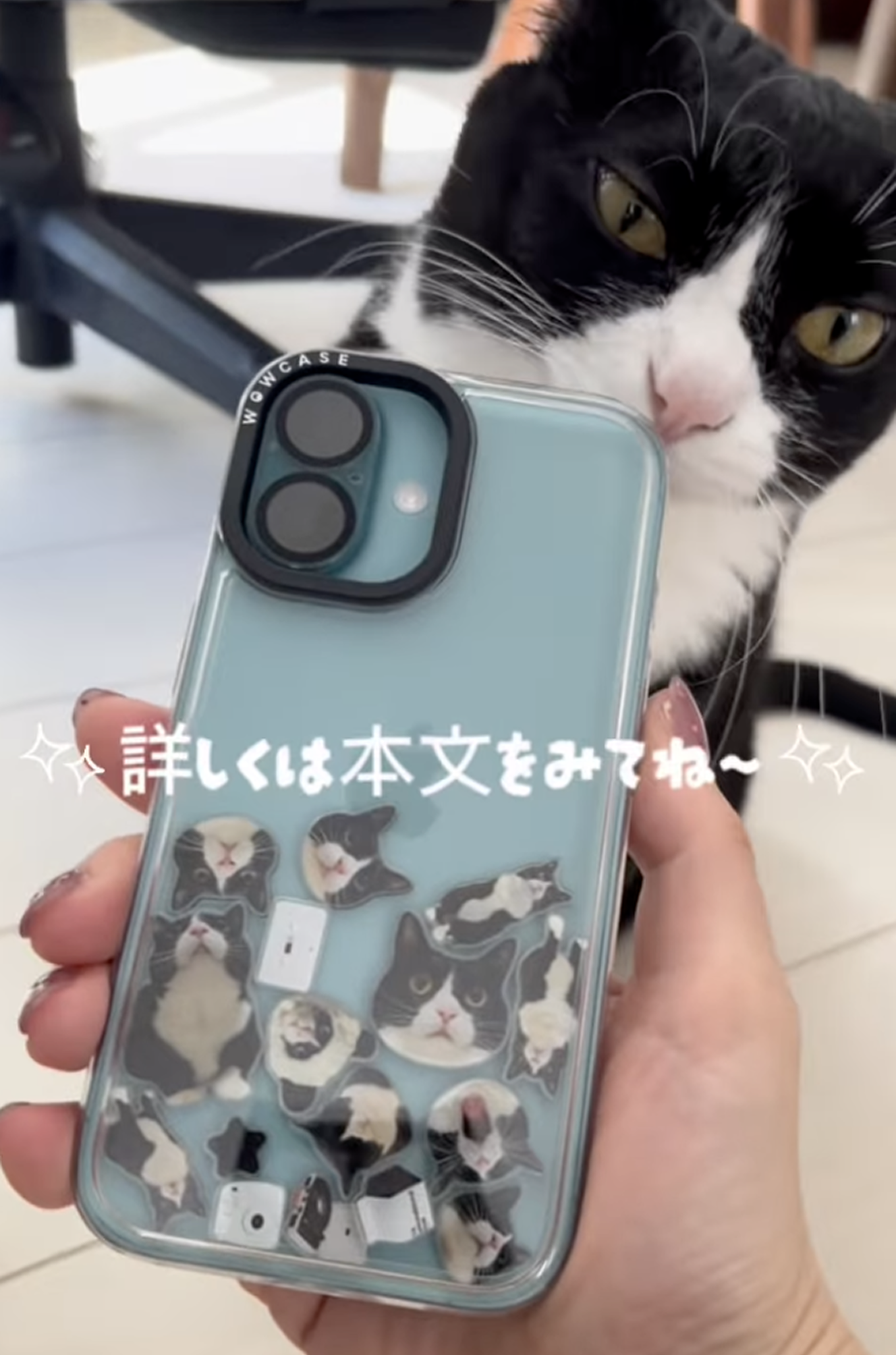 kipe_pon