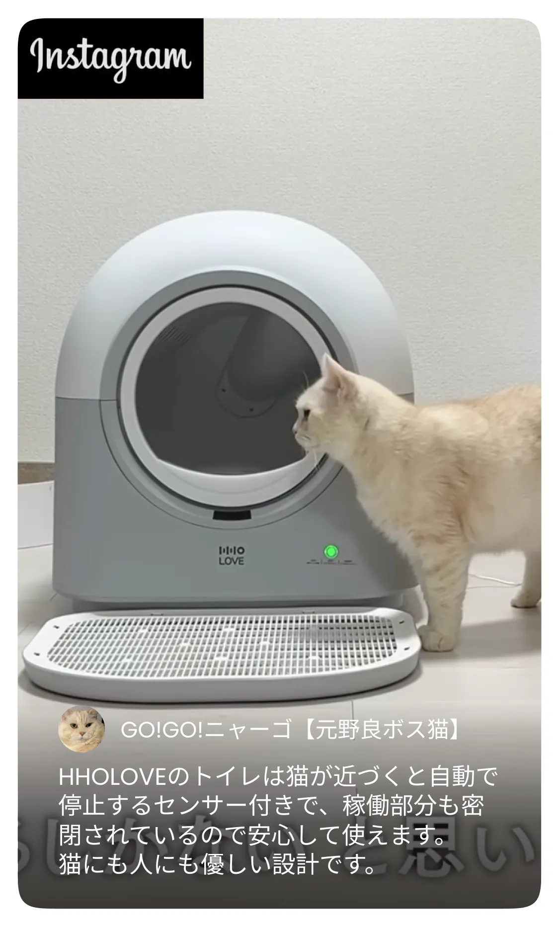 HHOLOVE公式｜自動猫トイレ・カメラ付き給餌器・AIペット家電通販