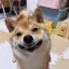 7sGood