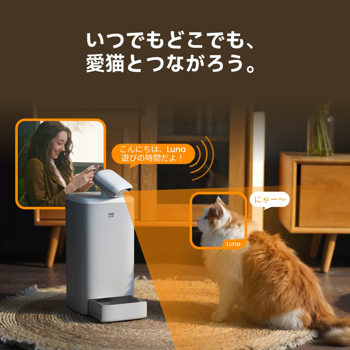 HHOLOVE×interpets