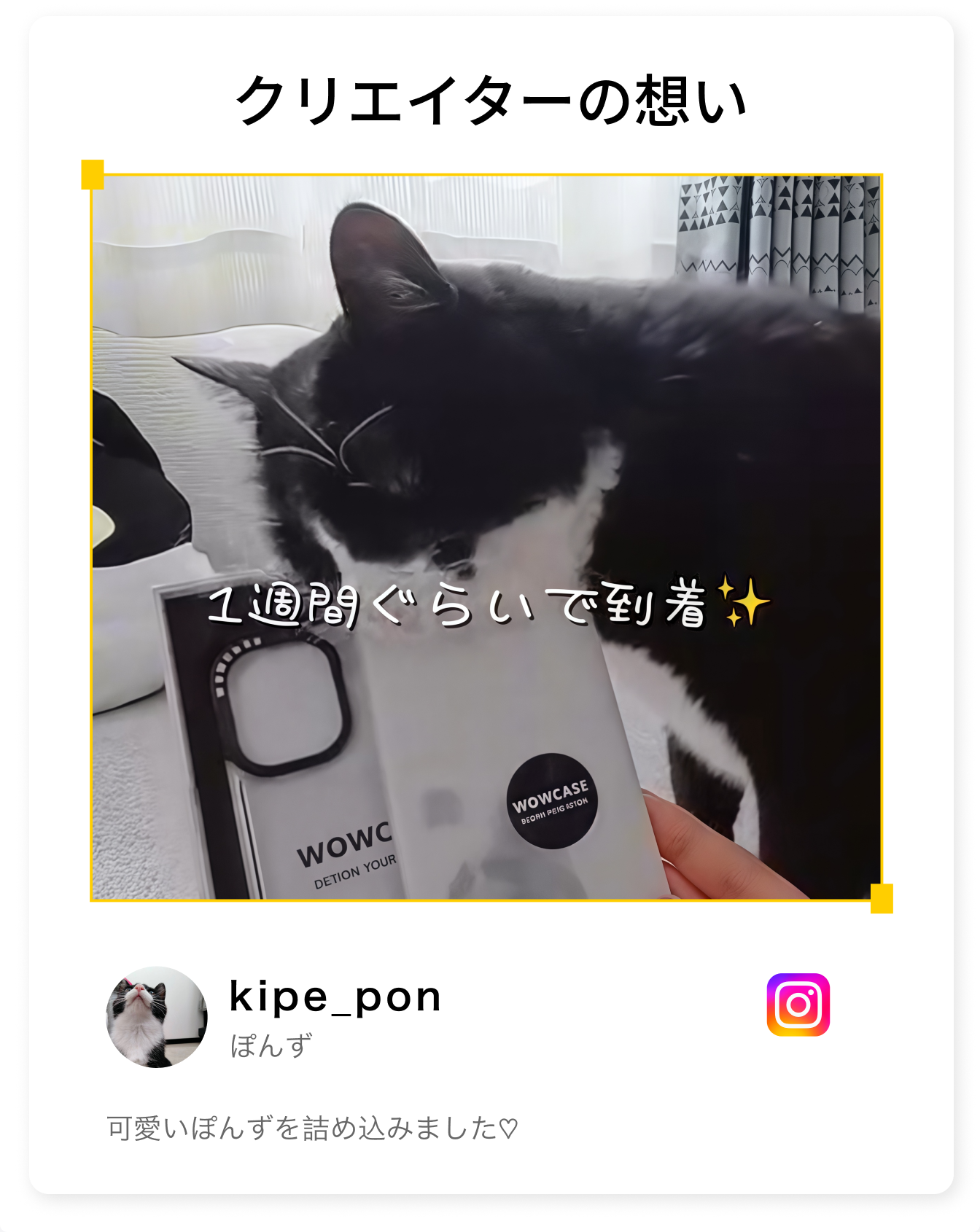本体