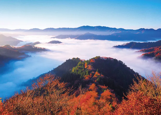 標高約820mの峠に広がる 紅と白い海の風景に息を呑む