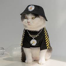 おしゃれで機能的！犬・猫用ウェアの選び方とおすすめ通販リンク