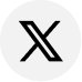 X (Twitter)