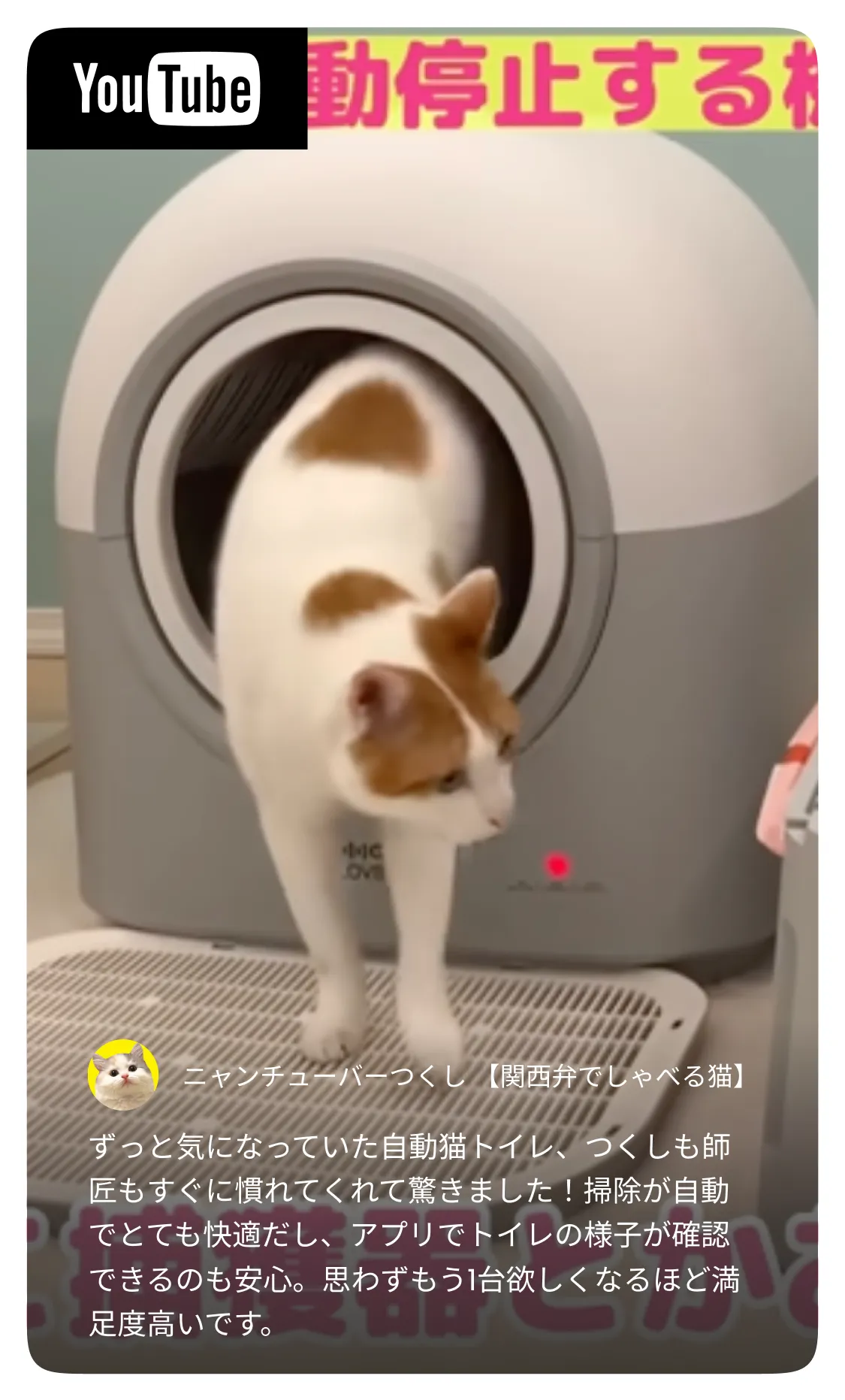 HHOLOVE公式｜自動猫トイレ・カメラ付き給餌器・AIペット家電通販
