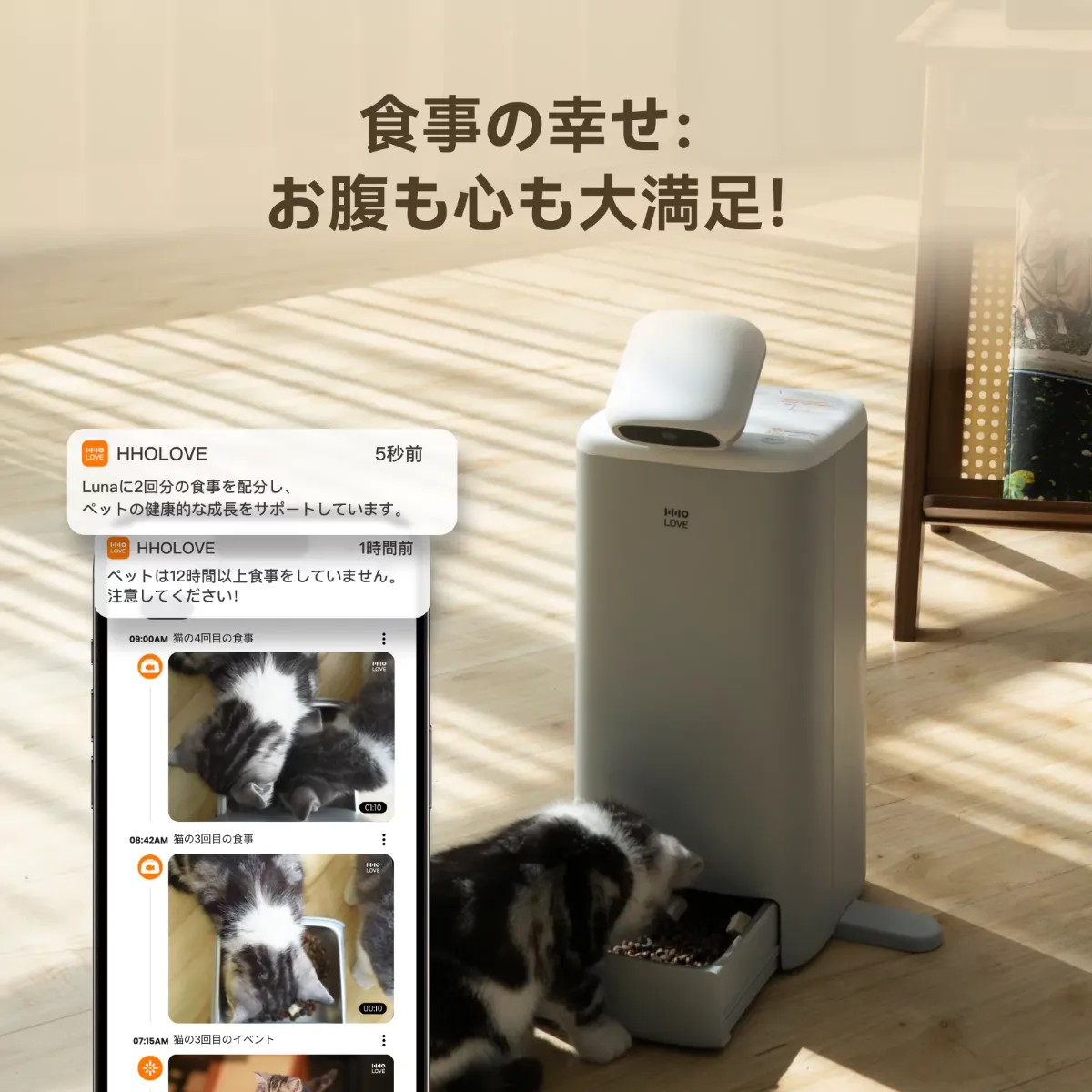 HHOLOVE×interpets