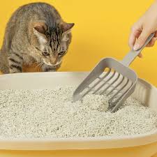 猫砂・シーツの通販比較！中国製品でも安心できるブランドとは？