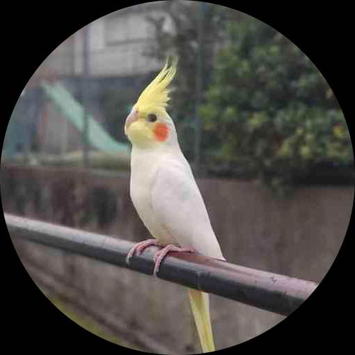 あ