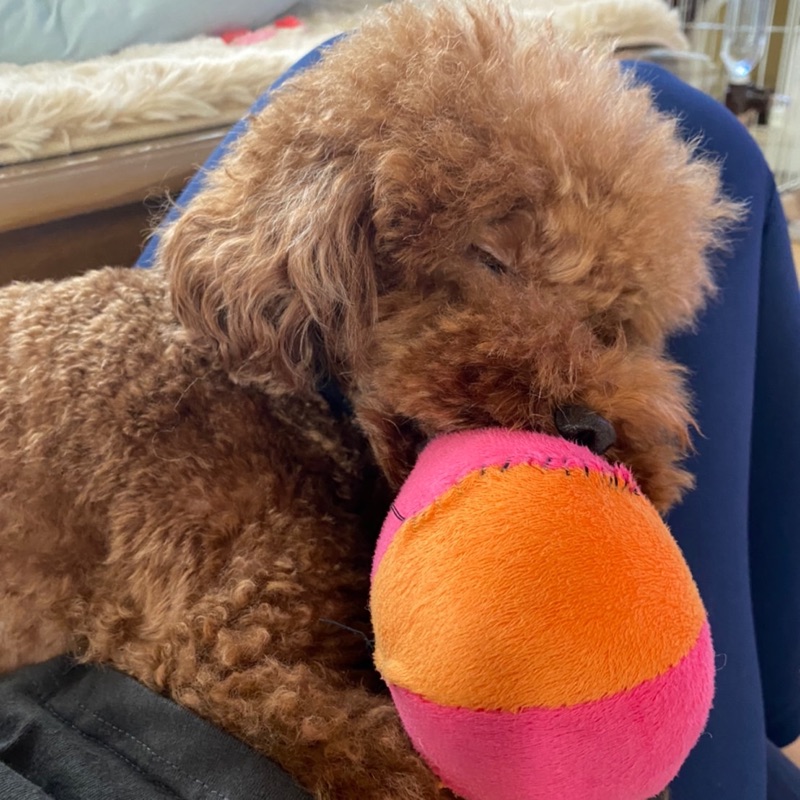 ポイントはいつどのように還元されますか?