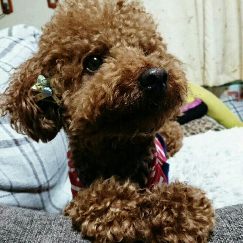 みっ***