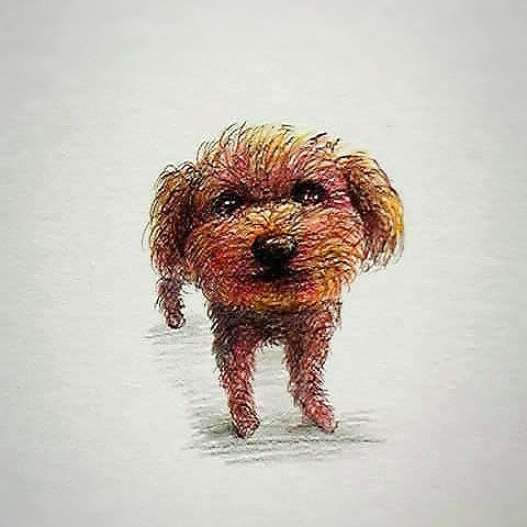 形、サイズは１つだけでしょうか？
サイズ詳細を教えてください。
また画像はいくつも違うものも出来ますか？