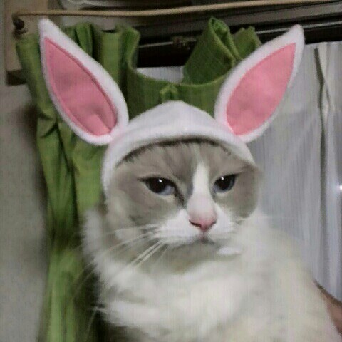 ふみ***