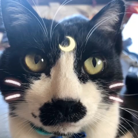 くう***