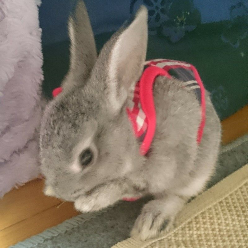 いけ*****
