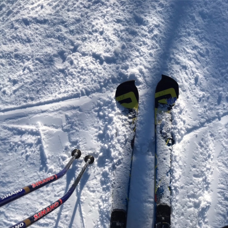 このポコポコのサイズが知りたいです。