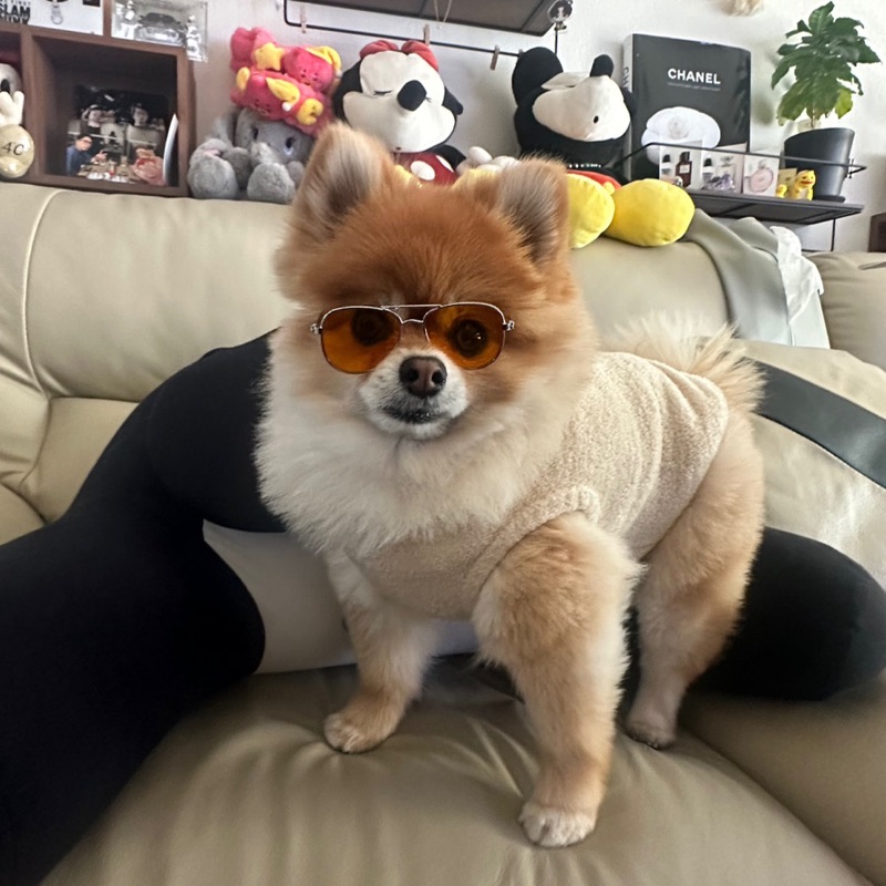 hi****