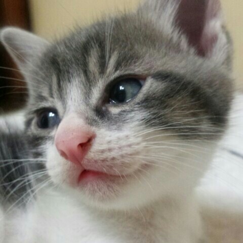 ゆう*