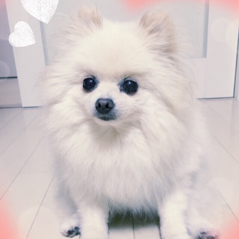 さ*
