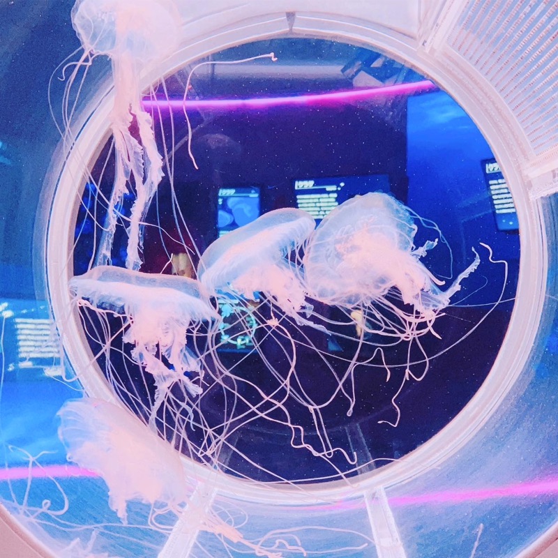 まり*