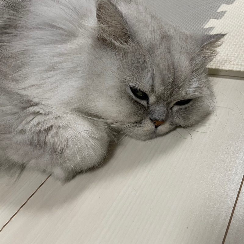 ほの*