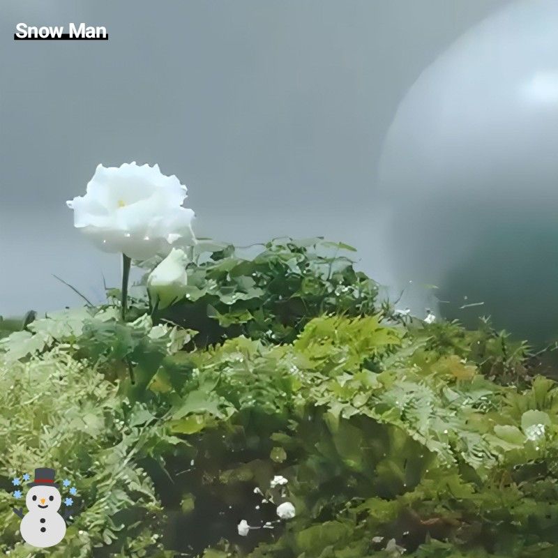 GALAXYはないの？