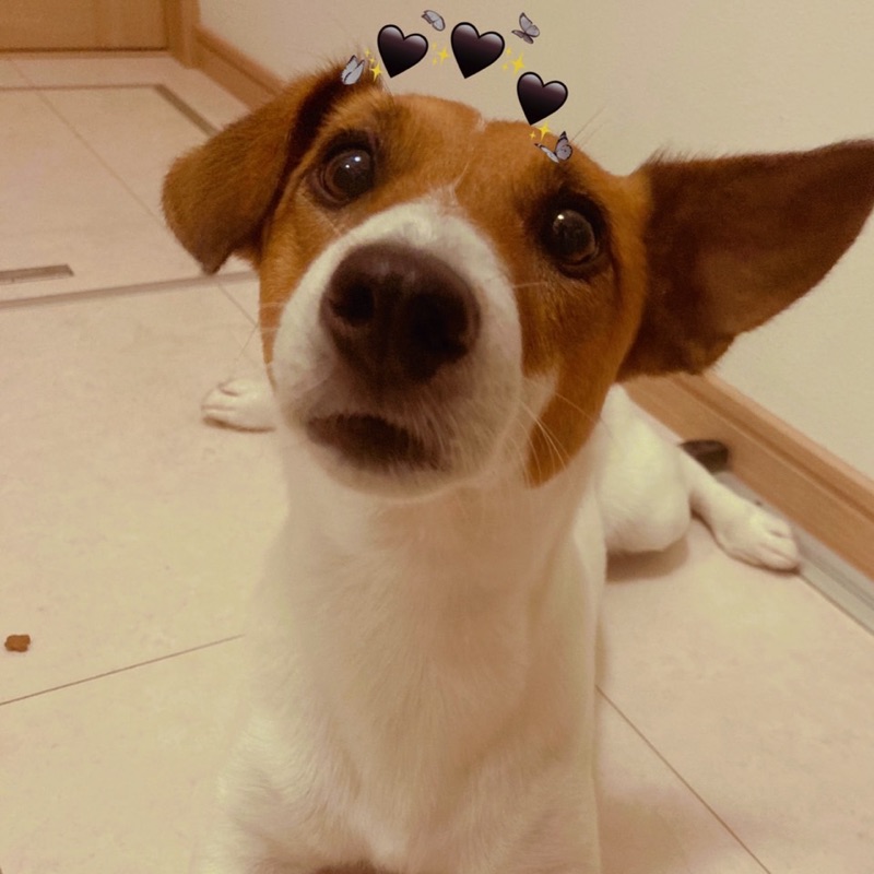 和*