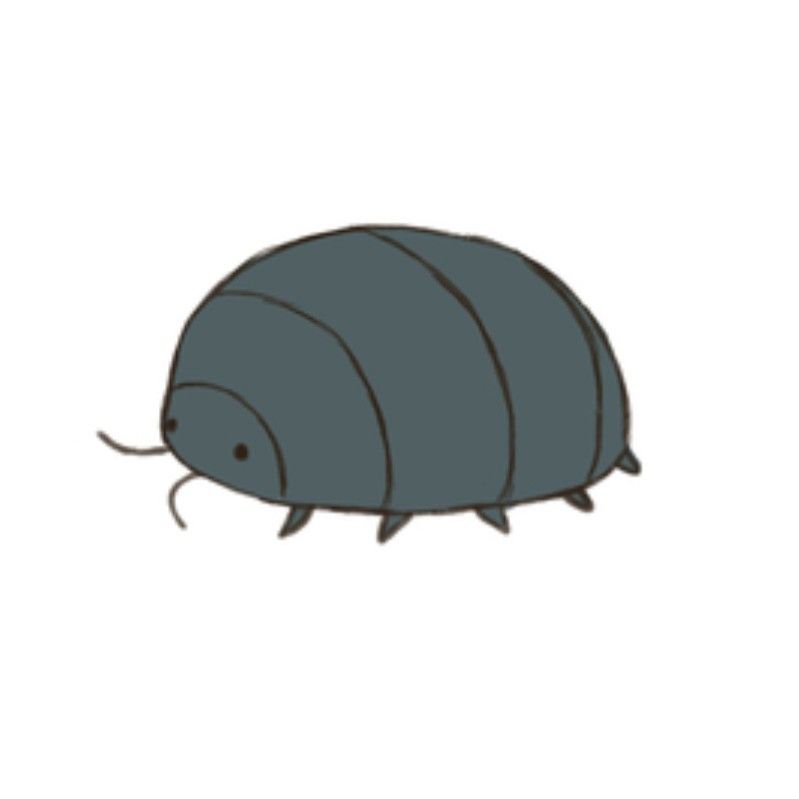 ピグ***