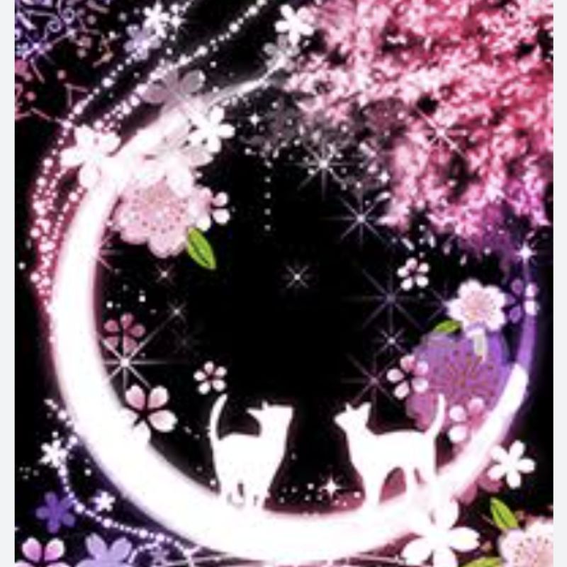 ⋆。************