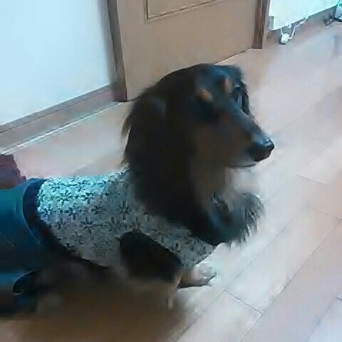 きた******