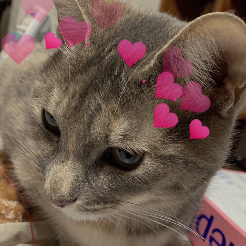 あき*