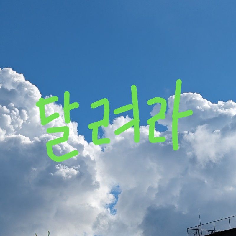 いず****