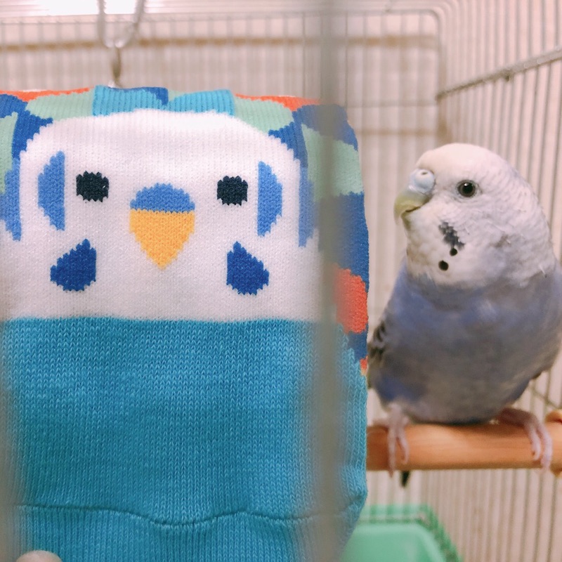 しお*