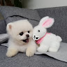 소*