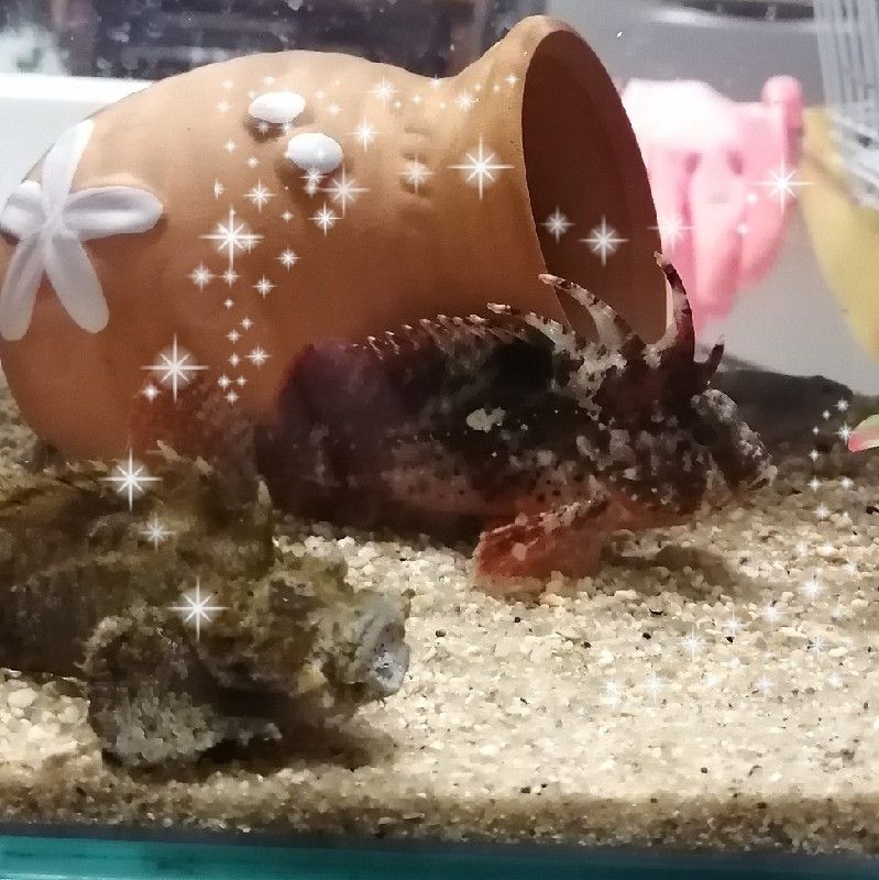 徳永**