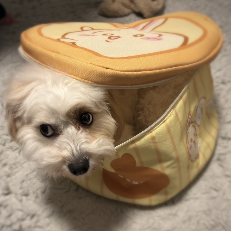 美*