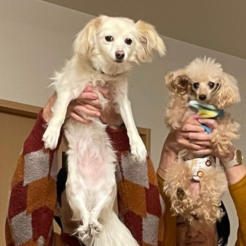 伊藤**