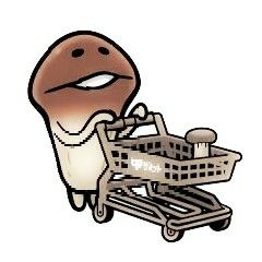 画面上、￥0になっておりますが、購入ページには価格が表示されております。どちらが正しいでしょうか？